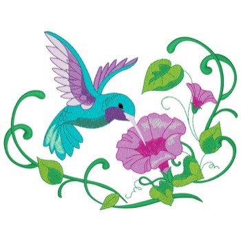Kolibri