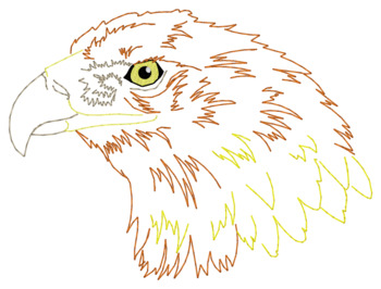 Goldener Adlerkopf