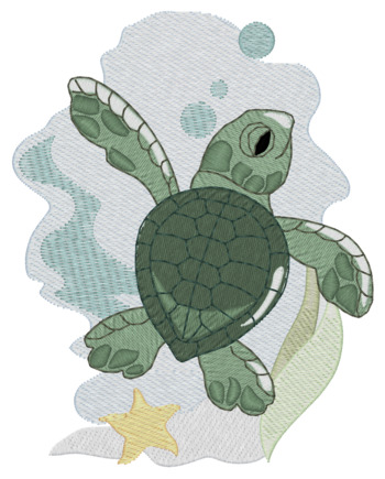 Baby-Meeresschildkröte