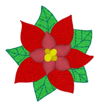 Weihnachtsstern